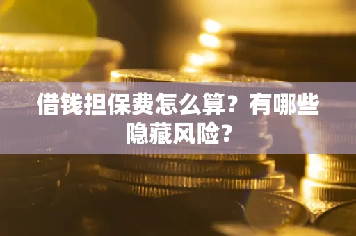 武汉借钱担保费怎么算？有哪些隐藏风险？