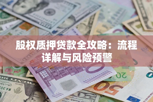 武汉股权质押贷款全攻略：流程详解与风险预警