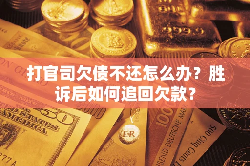 武汉打官司欠债不还怎么办？胜诉后如何追回欠款？