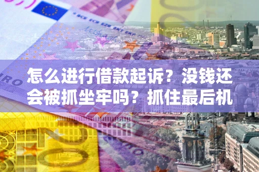 武汉怎么进行借款起诉？没钱还会被抓坐牢吗？抓住最后机会！