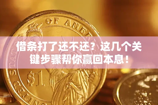 武汉借条打了还不还？这几个关键步骤帮你赢回本息！