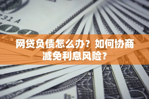 武汉网贷负债怎么办？如何协商减免利息风险？