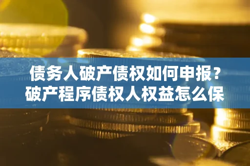 武汉债务人破产债权如何申报？破产程序债权人权益怎么保障？