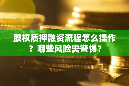 武汉股权质押融资流程怎么操作？哪些风险需警惕？