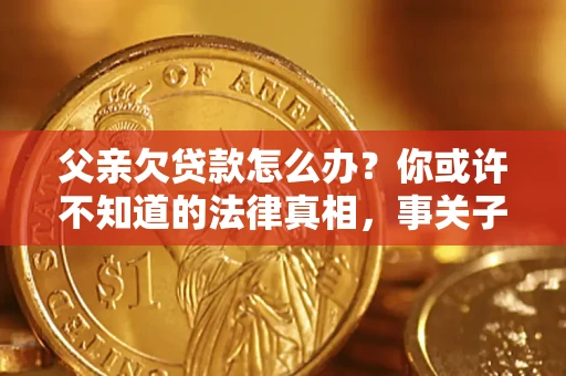 武汉父亲欠贷款怎么办？你或许不知道的法律真相，事关子女未来