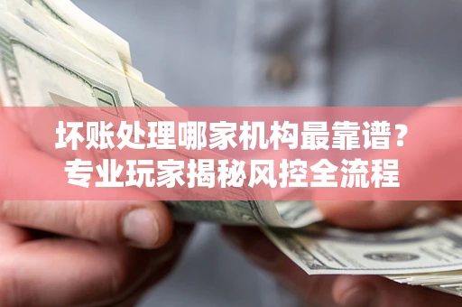 武汉坏账处理哪家机构最靠谱？专业玩家揭秘风控全流程