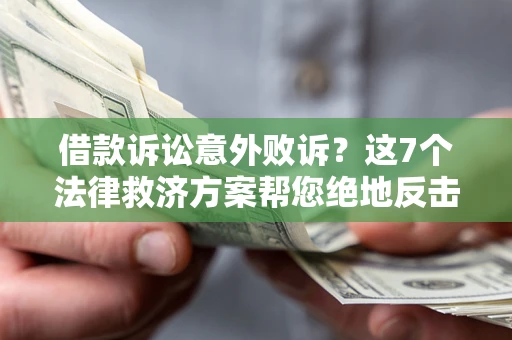 武汉借款诉讼意外败诉？这7个法律救济方案帮您绝地反击！