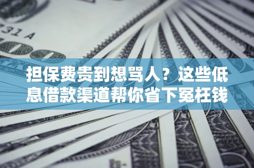 武汉担保费贵到想骂人？这些低息借款渠道帮你省下冤枉钱