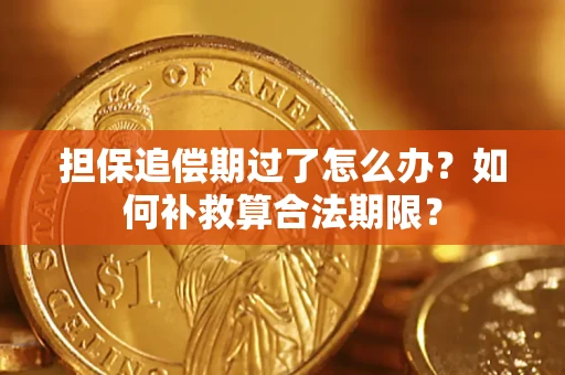 武汉担保追偿期过了怎么办？如何补救算合法期限？