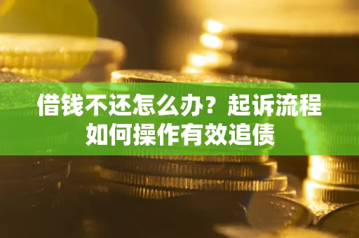 武汉借钱不还怎么办？起诉流程如何操作有效追债