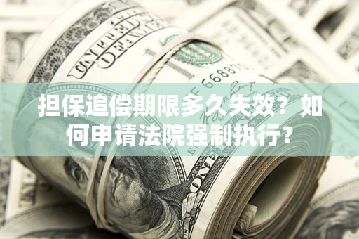 武汉担保追偿期限多久失效？如何申请法院强制执行？