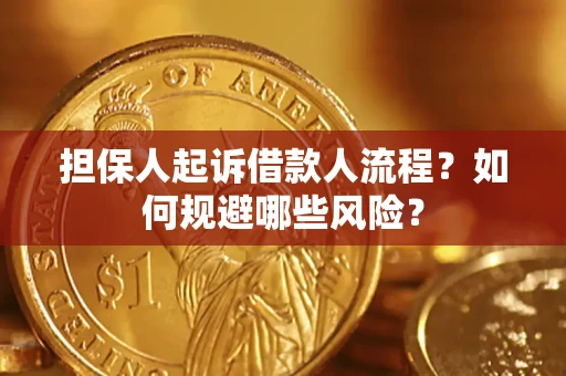 武汉担保人起诉借款人流程？如何规避哪些风险？