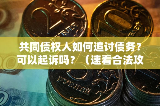 武汉共同债权人如何追讨债务？可以起诉吗？（速看合法攻略）