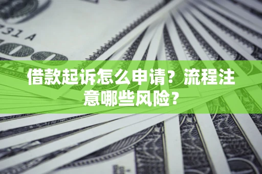 武汉借款起诉怎么申请？流程注意哪些风险？